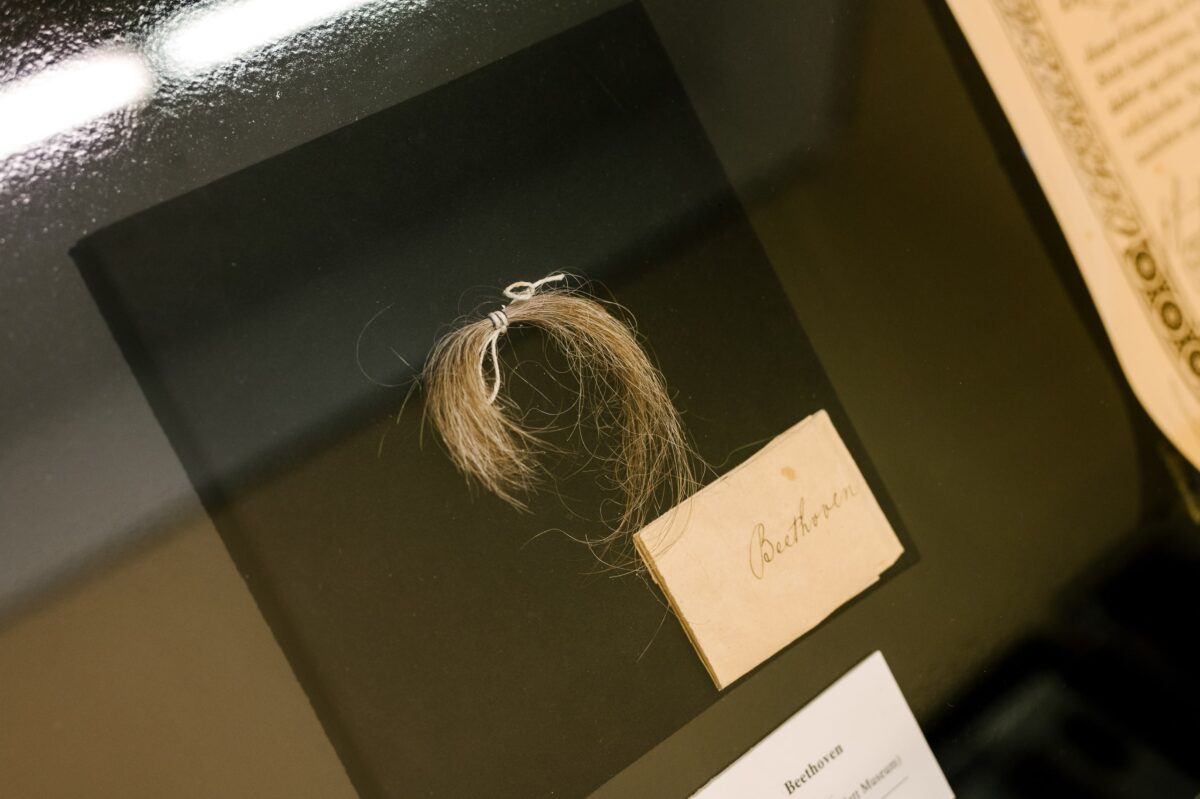 Locke von Ludwig van Beethoven, Foto: Klaus Pichler/Bezirksmuseum Floridsdorf