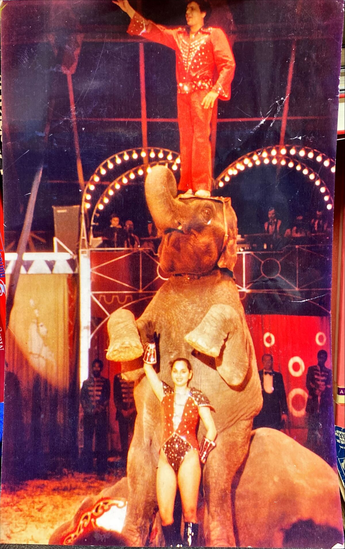 Veranstaltung: Artistenstammtisch, Circus- & Clownmuseum, 2024