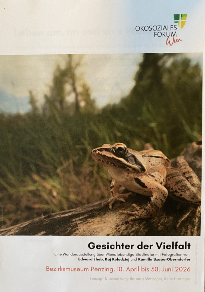 Ausstellung: Gesichter der Vielfalt, Bezirksmuseum Penzing, 2026
