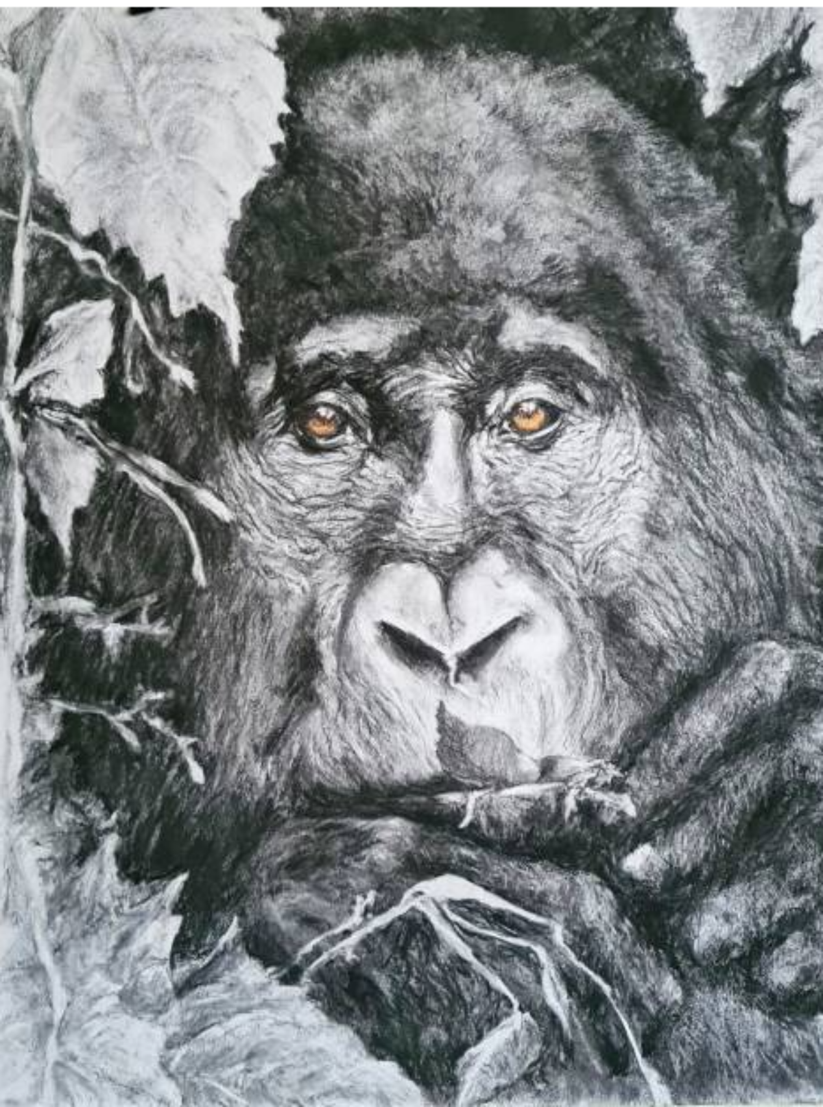Ausstellung: Kunstausstellung, Porträt eines Affen, Brigitte Lichtenhofer-Wagner, Bezirksmuseum Donaustadt, 2026